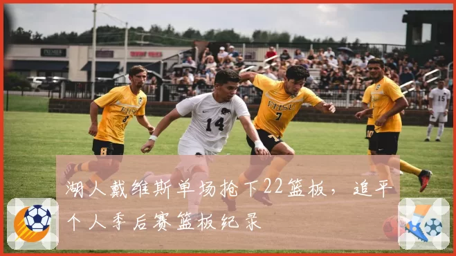湖人戴维斯单场抢下22篮板，追平个人季后赛篮板纪录