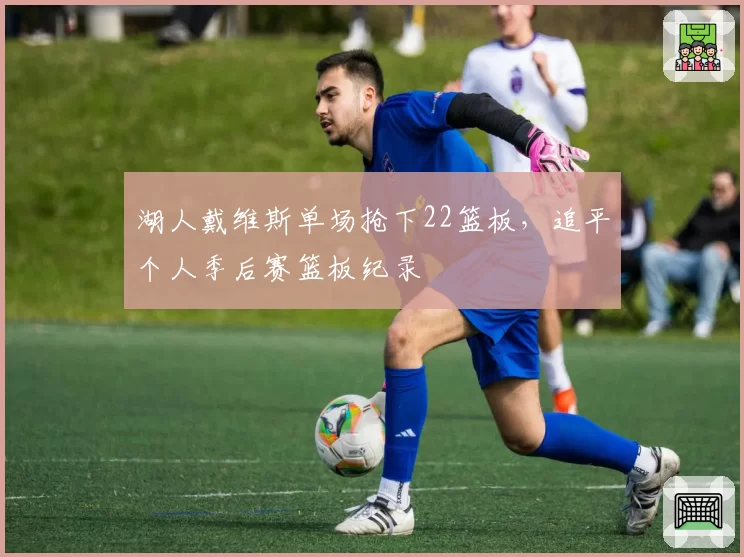 湖人戴维斯单场抢下22篮板，追平个人季后赛篮板纪录