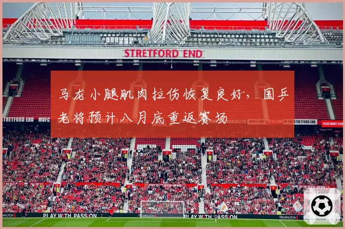 马龙小腿肌肉拉伤恢复良好，国乒老将预计八月底重返赛场