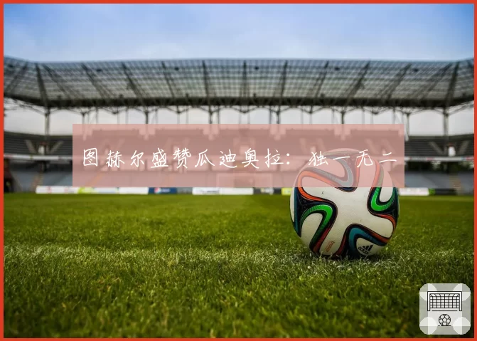 图赫尔盛赞瓜迪奥拉：独一无二