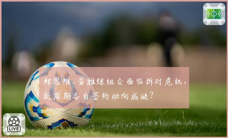 郑思维_黄雅琼组合面临拆对危机，新周期各自签约动向成谜？