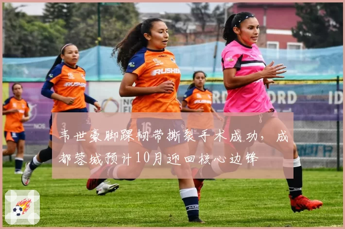 韦世豪脚踝韧带撕裂手术成功，成都蓉城预计10月迎回核心边锋